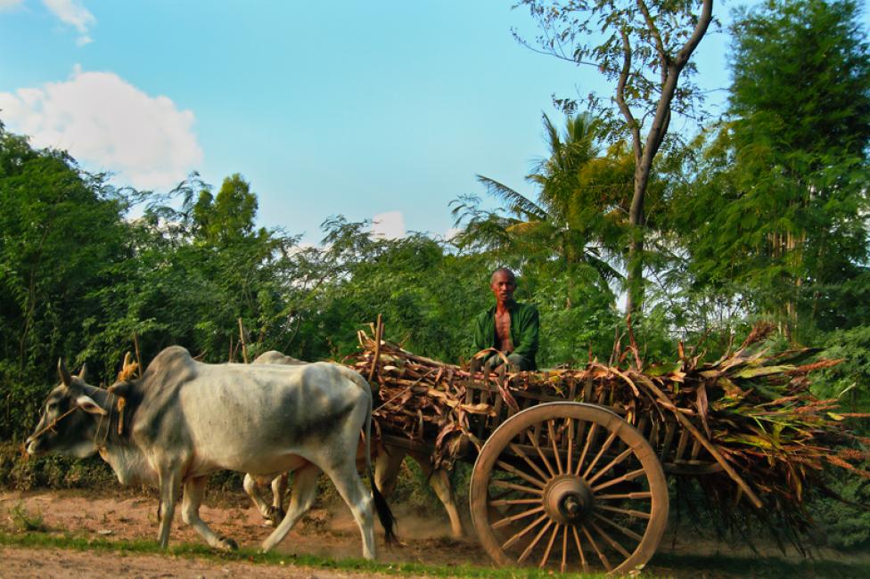 Imagen 23 de la galería de Myanmar